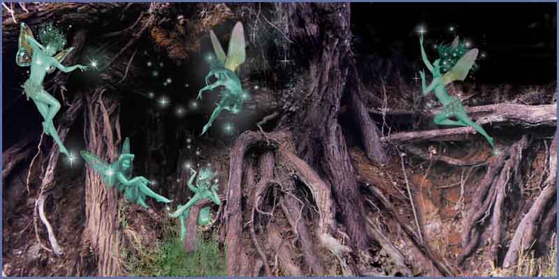 Images of Fairies